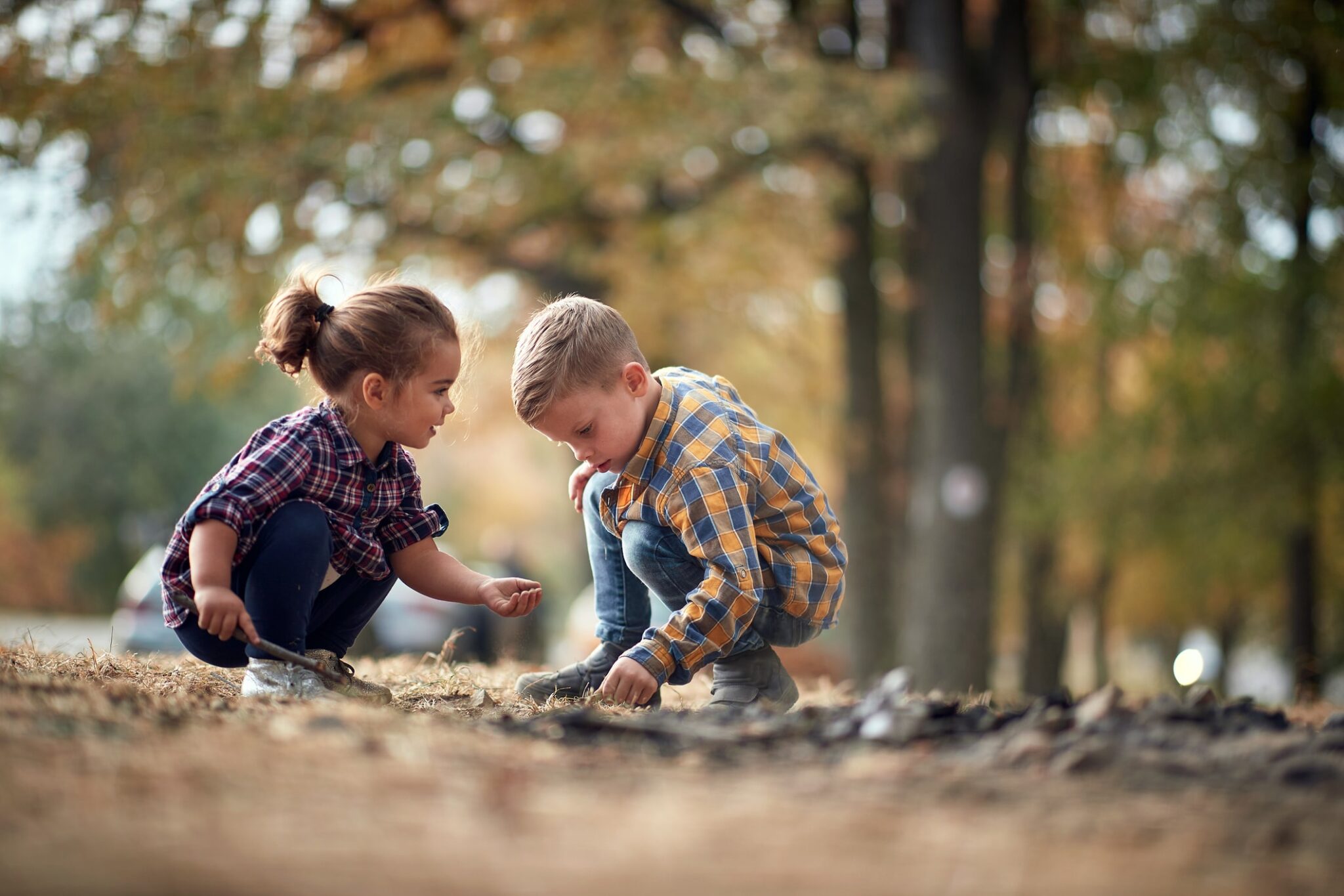 Little brother and sister interested in life in the ground in the forest on a beautiful day
