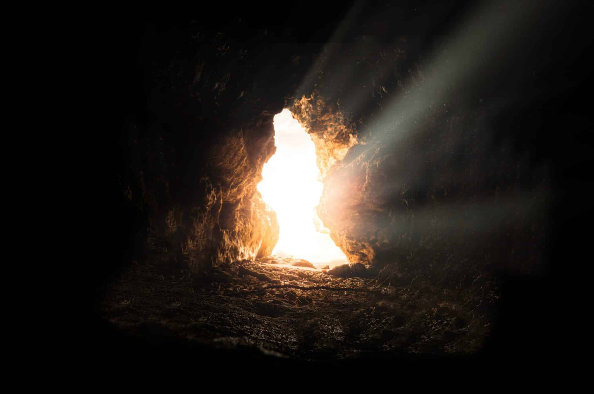 Featured Image